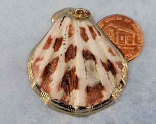 Gold Plated Natural Shell Pendant